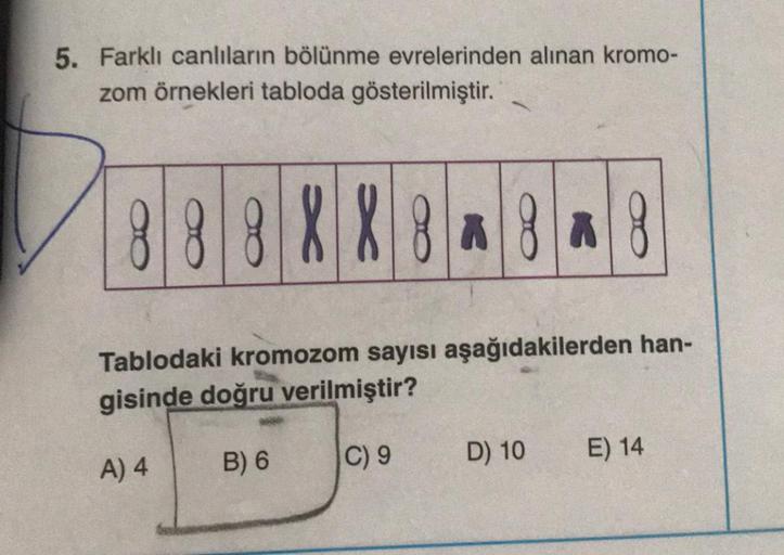 5. Farklı canlıların bölünme evrelerinden alınan kromo-
zom örnekleri tabloda gösterilmiştir.
888XX8* *8*8
8a
Tablodaki kromozom sayısı aşağıdakilerden han-
gisinde doğru verilmiştir?
A) 4
C) 9
B) 6
D) 10
E) 14