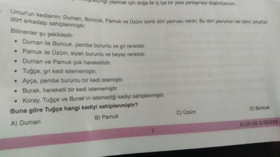 Umut'un kedisinin; Duman, Boncuk, Pamuk ve Üzüm isimli dört yavrusu vardır. Bu dört yavrunun her birini Umut'un
dört arkadaşı sahiplenmiştir.
Bilinenler şu şekildedir:
• Duman ile Boncuk, pembe burunlu ve gri renklidir.
Pamuk ile Üzüm, siyah burunlu ve bey
