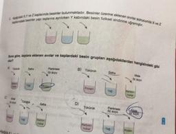 1 Apadal XY ve Z kaplanında besinler bulunmaktadır. Besinler üzerine eklenen sivilar sonucunda X ve Z
planndal besinler yapı taşlarına aynilirken Y kabindaki besin fiziksel sindirime ugramir.
Buna göre, kaplara eklenen sivilar ve kaplardaki besin grupları aşağıdakilerden hangisindeki gibi
du?
Safra
Safra
hidrat
Parkreas
öz suyu
B) Tükürük
D)
Protein
Tükürük
Karbon-
hidrat
Yağ
Pankreas
öz suyu
Yağ
Mida
öz suyu
hidrat
Chuce
öz suye
Protein
A
