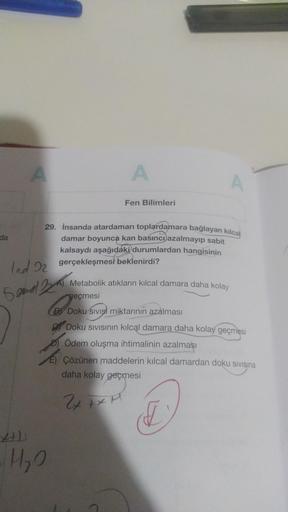 da
A
Ind 22
02
A
29. İnsanda atardamarı toplardamara bağlayan kılcal
damar boyunca kan basıncı azalmayıp sabit
kalsaydı aşağıdaki durumlardan hangisinin
gerçekleşmesi beklenirdi?
Sand 224
H₂0
Fen Bilimleri
A) Metabolik atıkların kılcal damara daha kolay
ge