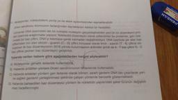 lica
1. Mutasyonlar, nükleotidlerin yanlış ya da eksik eşlenmesinden kaynaklanabilir.
Down sendromu kromozom fazlalığından kaynaklanan kalıtsal bir hastalıktır.
Uzmanlar DNA üzerindeki tek bir noktada mutasyon gerçekleştirebilen yeni bir tür düzenleyici pro-
tein üzerinde araştırmalar yapıyor. Nükleotid düzenleyici olarak adlandırılan bu proteinler, gen üze-
nindeki bir baz çiftini, DNA'yi kesmeye gerek kalmadan değiştirebiliyor. DNA üzerinde yer alan baz
çiftlerinden biri olan sitozin - guanin (C-G) çiftini kimyasal olarak timin - adenin (T-A) çiftine dö-
nüştüren ilk baz düzenleyicinin 2016 yılında bulunmasının ardından şimdi de A-T baz çiftini G-C
baz çiftine çeviren baz düzenleyici geliştirildi.
Yukanda verilen habere göre aşağıdakilerden hangisi söylenebilir?
A) Mutasyonlar genetik tedavide kullanılabili
B) Haberde anlatılan yöntem Down sendromunun tedavisinde kullanılabilir.
C) Haberde anlatılan yöntem gen tedavisi olarak bilinen; zararlı genlerin DNA'dan çıkarılarak yeri-
ne sağlıklı genlerin yerleştirilmesi şeklinde çalışan yöntemle benzerlik göstermektedir.
D) Haberde bahsedilen baz düzenleyici yöntem ile nükletidin yapısındaki şeker türünün değiştiril-
mesi hedeflenmiştir.
ESTE NOUV
WASSE
IS!
A
NVSNED