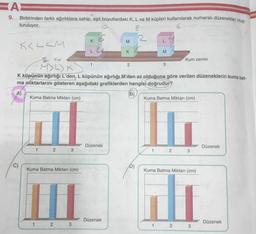 AE
9. Birbirinden farklı ağırlıklara sahip, eşit boyutlardaki K, L ve M küpleri kullanılarak numaralı düzenekler oluş-
turuluyor.
8
K<LLM
C)
Kuma Batma Miktarı (cm)
1
1
2
Kuma Batma Miktarı (cm)
3
2
M>LYK
K küpünün ağırlığı L'den, L küpünün ağırlığı M'den az olduğuna göre verilen düzeneklerin kuma bat-
ma miktarlarını gösteren aşağıdaki grafiklerden hangisi doğrudur?
16
A
(B)
K
3
L
Düzenek
M
Düzenek
K
2
D)
M
1
3
Kuma Batma Miktarı (cm)
1
Kum zemin
2
Kuma Batma Miktarı (cm)
2
3
3
Düzenek
Düzenek