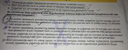 17. 1. Virüslerde bir protein tabakasıyla çevrelenmiş kalıtsal moleküller bulunur.
II. Bilim dünyasında canlı mı yoksa cansız mı oldukları hâlâ tartışılmaktadır.
III. Çoğalmak için bir konağa yani bir hücreye ya da organizmaya gerekesinim duyar.
✓
Bu cümlelerde ifade edilenlerin sifat-fiil kullanılarak anlamca doğru bir biçimde birleştirilmiş hâli aşa-
gıdakilerden hangisidir?
A) Bir protein tabakasıyla çevrelenmiş kalıtsal moleküller bulunan virüsler, çoğalmak için bir konağa yani bir
hücreye ya da organizmaya gereksinim duyduğundan bilim dünyasında canlı mı yoksa cansız mı oldukları
hâlâ tartışılmaktadır.
B) Bir protein tabakasıyla çevrelenmiş kalıtsal moleküller bulunan ve çoğalmak için bir konağa yani bir hüc-
reye gereksinim duyan virüslerin canlı mı yoksa cansız mı oldukları bilim dünyasında hâlâ tartışılmaktadır.
C) Virüsler, çoğalmak için bir protein tabakasıyla çevrelenmiş bir konağa yani bir hücreye ya da organizmaya
gereksinim duyduğundan bilim dünyasında canlı mı yoksa cansız mı oldukları hâlâ tartışılmaktadır.
D) Bilim dünyasında canlı mı yoksa cansız mı oldukları tartışılan virüsler, kalıtsal moleküllerle çevrelenmiş
protein tabakasıyla çoğalmak için bir konağa yani bir hücreye ya da organizmaya gereksinim duyar.
