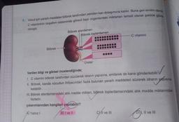 4. Vücut için yararlı maddeler böbrek tarafından yeniden kan dolaşımına katılır. Buna geri emilim denilir
C vitamininin boşaltım sisteminde görevli bazı organlardaki miktarları temsili olarak şekilde göste-
rilmiştir.
Böbrek
Böbrek atardamarı
Böbrek toplardamarı
Üreter
C vitamini
Verilen bilgi ve görsel incelendiğinde;
1. C vitamini böbrek tarafından süzülerek idrarın yapısına, emilerek de kana gönderilebilir.
II. Böbrek, kanda vücudun ihtiyacından fazla bulunan yararlı maddeleri süzerek idrarın yapısına
katabilir.
III. Böbrek atardamarındaki atık madde miktarı, böbrek toplardamarındaki atık madde miktarından
fazladır.
çıkarımlarından hangileri yapılabilir?
Yalnız I
B) I ve II
CI ve III
D), II ve III
