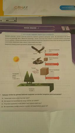 3.00000000
100000 200000
GUNAY
YAYINLARI
BESİN ZİNCİRİ - 1
Güneş'ten
gelen
enerji
1.000.000 J
7. ve 8. soruları aşağıdaki bilgilere göre cevaplayınız.
Ekolojik piramitte, canlılar arasında beslenme ilişkilerini gösteren katmanlar vardır. Bu katmanların her birine
beslenme basamağı denir. Beslenme basamağı, canlılar arasında enerji aktarımı sırasında canlının bulunduğu
konumu gösterir. Ekoloji piramidinde canlilar birbiriyle beslenirken besinlerle birlikte enerji de ekoloji piramidindeki
üreticilerden tüketicilere doğru aktarılır. Buna enerji akışı denir.
Aşağıda bir ekoloji piramiti görsellerle desteklenerek verilmiştir.
Kartal
Yılan
Tavşan
Üreticiler
10.000 J
Üçüncül tüketiciler
10 J
Enerji kaybı
İkincil tüketiciler
100 J
Enerji kaybı
Birincil tüketiciler
1.000 J
Enerji kaybı
Basardar Diler
7. Yalnızca verilen bu görsele bakılarak aşağıdaki sorulardan hangisine yanıt bulunamaz?
A) Sistemdeki temel enerji kaynağı nedir?
B) Bir beslenme basamağında hangi canlılar yer alabilir?
C) Piramitte kaybedilen enerji tekrar nasıl sisteme dahil olur?
D) Bir basamakta üretilen enerjinin tamamı üst basamaklara geçer mi?
TEST
1
