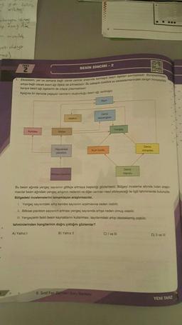 wirkting?
to you say
penas ak
menimb
241 disip
.
TEST
2
Karides
1. Ekosistem, yer ve zamana bağlı olarak canlilar arasında karmaşık besin ilişkileri içermektedir. Biyoçeşitle
artışa bağlı olarak besin ağı ilişkisi de artmaktadır. Bu sebeple özellikle su ekosistemlerindeki zengin biyoçeşit
karışık besin ağı ilişkilerini de ortaya çıkarmaktadır.
Aşağıda bir denizde yaşayan canlıların oluşturduğu besin ağı verilmiştir.
Midye
Hayvansal
plankton
Istakoz
BESİN ZİNCİRİ-2
Bitkisel plankton
Marb
Deniz
salyangozu
8. Sinif Fen Bilimleri Soru Bankas
Kum kurdu
Yengeç
Deniz
marulu
BIANCA
Bu besin ağında yengeç sayısının gittikçe artmaya başladığı gözlemlenir. Bölgeyi inceleme altında tutan araştır
macılar besin ağındaki yengeç artışının nedenini ve diğer canlıları nasıl etkileyeceği ile ilgili tahminlerde bulunurlar
Bölgedeki incelemelerini tamamlayan araştırmacılar,
I. Yengeç sayısındaki artış karides sayısının azalmasına neden olabilir.
II. Bitkisel plankton sayısının artması yengeç sayısında artışa neden olmuş olabilir.
III. Yengeçlerin farklı besin kaynaklarını kullanması, sayılanındaki artışı desteklemiş olabilir.
tahminlerinden hangilerinin doğru çıktığını gözlemler?
A) Yalnız I
B) Yalnız II
C) I ve Ill
Deniz
minaresi
D) Il ve Ill
YENİ TARZ