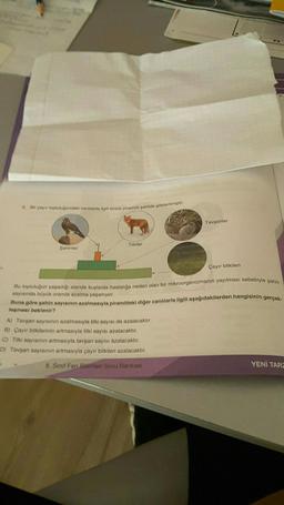 & pay toplukabundaki canhlarla ilgili enerji piramidi şekilde gösterilmiştir.
Sahinter
Tilkiler
Tavşanlar
Çayır bitkileri
Bu topluluğun yaşadığı alanda kuşlarda hastalığa neden olan bir mikroorganizmanın yayılması sebebiyle şahin
sayısında büyük oranda azalma yaşanıyor.
A) Tavşan sayısının azalmasıyla tilki sayısı da azalacaktır.
B) Cayir bitkilerinin artmasıyla tilki sayısı azalacaktır.
C) Tilki sayısının artmasıyla tavşan sayısı azalacaktır.
D) Tavşan sayısının artmasıyla çayır bitkileri azalacaktır.
8. Sınıf Fen Bilimleri Soru Bankast
Buna göre şahin sayısının azalmasıyla piramitteki diğer canlılarla ilgili aşağıdakilerden hangisinin gerçek-
leşmesi beklenir?
YENİ TARZ