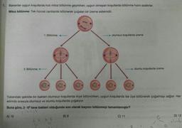 1.
Bakteriler uygun koşullarda hızlı mitoz bölünme geçirirken, uygun olmayan koşullarda bölünme hızını azaltırlar.
Mitoz bölünme: Tek hücreli canlılarda bölünerek çoğalan bir üreme sistemidir.
2. Bölünme
A) 10
1. Bölünme
ave
66
----
--
66
Yukarıdaki şekilde bir bakteri olumsuz koşullarda ikiye bölünürken, uygun koşullarda ise üçe bölünerek çoğalmayı sağlar. Her
adımda sırasıyla olumsuz ve olumlu koşullarda çoğalıyor.
Buna göre, 2.64 tane bakteri olduğunda son olarak kaçıncı bölünmeyi tamamlamıştır?
2.(1-3)
olumsuz koşullarda üreme
B) 9
Lu
C) 11
olumlu koşullarda üreme
C
D) 12
olumbu