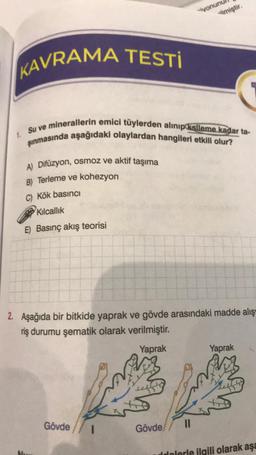 A) Difüzyon, osmoz ve aktif taşıma
B) Terleme ve kohezyon
C) Kök basıncı
Kılcallik
E) Basınç akış teorisi
KAVRAMA TESTİ
1. Su ve minerallerin emici tüylerden alınıp ksileme kadar ta-
şınmasında aşağıdaki olaylardan hangileri etkili olur?
Gövde
2. Aşağıda bir bitkide yaprak ve gövde arasındaki madde alış
riş durumu şematik olarak verilmiştir.
Yaprak
1
ivonun
Gövde
-ilmiştir.
11
Yaprak
Mug
dolerle ilgili olarak aşa