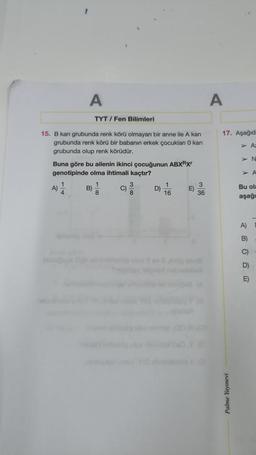 1
TYT/Fen Bilimleri
15. B kan grubunda renk körü olmayan bir anne ile A kan
grubunda renk körü bir babanın erkek çocukları 0 kan
grubunda olup renk körüdür.
A)
A
Buna göre bu ailenin ikinci çocuğunun ABXRX
genotipinde olma ihtimali kaçtır?
1
1
4
D)
16
E)
3
36
A
17. Aşağıd
Palme Yayınevi
> N
A)
A:
Bu ola
aşağı
B)
C)
D)
E)
A