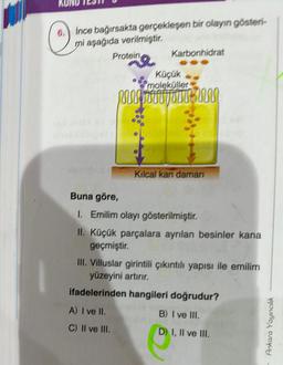 6. ince bağırsakta gerçekleşen bir olayın gösteri-
mi aşağıda verilmiştir.
Protein
Karbonhidrat
Küçük
moleküller
MWSTTTTTTTM
Kılcal kan damarı
Buna göre,
1. Emilim olayı gösterilmiştir.
II. Küçük parçalara ayrılan besinler kana
geçmiştir.
III. Villuslar girintili çıkıntılı yapısı ile emilim
yüzeyini artırır.
ifadelerinden hangileri doğrudur?
A) I ve II.
B) I ve III.
C) II ve III.
D) I, II ve III.
Ankara Yayıncılık