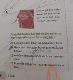 2
3990
Dile
Doğru şekilde nefes
almak için burnumuz-
dan nefes alıp, ağzı-
mızdan vermeliyiz.
Aşağıdakilerden hangisi doğru nefes al-
manın gereklerinden birisi değildir?
A) Burnumuzdaki kıllar toz parçalarını tutar.
Havadaki mikroplar burundaki mukusta
tutulur.
th tovar
CY Aldığımız hava burunda ısıtılır ve nemlen-
dirilir.
D) Burunda aldığımız havanın kokusu algı-
lanır.
6. Sınıf