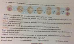 Bir hayvan hücresinde gerçekleşen mitoz bölünmenin evreleri aşağıda verilmiştir.
6:0:0:0:0:8-8
3
2
4
5
Numaralanmış evrelerle ilgili öğrenciler sırasıyla tahtaya açıklamalar yazıyor.
Emre: 1 numaralı evrenin başında DNA kendisini eşleyerek kalıtsal madde miktarını iki katına çıkarır ve bu
sayede kromozomlar oluşur.
Seda: 2 numaralı evrede çekirdek zarı ve çekirdekçik erimeye başlar. Sentrozomların kutuplara çekilmeye baş-
lamasıyla iğ iplikleri oluşur.
Ceren: 3 numaralı evrede iğ ipliklerine yakalanan kromozomlar hücrenin ortasına dizilir.
Ahmet: 4 numaralı evrede kardeş kromotidler birbirinden ayrılarak kutuplara doğru çekilir.
Özge: 5 numaralı evrede çekirdek bölünmesi tamamlanarak sitoplazma bölünmeye başlar. Çekirdek zarı ve
çekirdekçik tekrar oluşur.
Kerem: 6 numaralı evrede bölünme tamamlanır ve kalıtsal özellikleri birbirinden farklı iki yeni hücre oluşur.
Buna göre hangi öğrenciler yaptığı açıklamada hata yapmıştır?
A) Yalnız Kerem
B) Emre ve Özge
C) Seda ve Ceren
D) Ahmet ve Kerem