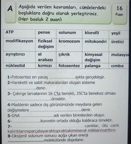 A Aşağıda verilen kavramları, cümlelerdeki
boşluklara doğru olarak yerleştiriniz.
(Her bosluk 2 puan)
ATP
pense
modifikasyon fiziksel
değişim
ayrıştırıcı
nükleotid
el
arabası
kırmızı
solunum
yeşil
kromozom mitokondri üretici
klorofil
çıkrık
kimyasal mutasyo
değişim
fotosentez palanga
1-Fotosentez en yavaş
2-Hareketli ve sabit makaralardan oluşan sisteme
...denir.
..ışıkta gerçekleşir.
16
Puan
3- Çekirge larvalarının 16 C'ta benekli, 25C'ta beneksiz olması
...........örnektir.
4-Maddenin sadece dış görünümünde meydana gelen
değişmelere
.....denir.
5-DNA
..adı verilen birimlerden oluşur.
6-.
7-
Cımbız
...kuvvetin ortada olduğu kaldıraca örnektir.
canlılar, ölü canlı
kalıntılarınıparçalayaraktopraktakimineral miktarınıarttırır.
8-Oksijenli solunum sonucu açığa çıkan enerji
........molekülünde depolanır.
