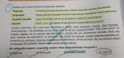 1. Aşağıda bazı anlatım ilkelerinin açıklaması verilmiştir:
Özgünlük
Evrensellik
Ulusallik (Yerellik)
Kalıcılık
: Eserin, uzun yıllar geçse de ilgi görmesi ve geçerliliğini korumasıdır.
Ortaokul yıllarından, lise sıralarından hatırladığımız isimler vardır: Nasreddin Hocalar, Âşık Veyseller,
Karacaoğlanlar... Bu isimlerden en az birinin sözü ya da şiiri kulaklarımızdadır. Peki nasıl oluyer da
kuşaklar değişse de bu insanlar hep hatırlanıyor? Aslında işin sırrı gözlerimizin önünde. Onlar hep
bizdi, bizdendi. Ne söyledilerse ne yazdılarsa hep bizden bir parçaydı. Çeşme başında bekleyen kız,
komşusuna ip vermeyen hoca hep mahallemizdeki Selvi teyze, Ahmet amcaydı. Biz var oldukça onların
hatırlanması da bundandı. Sebebi başka yerde aramak boşuna.
Bu metne göre yazarın vurguladığı anlatım ilkesi aşağıdakilerden hangisidir?
B) Evrensellik
A) Özgünlük
C) Ulusallik (Yerellik)
: Anlatımda kimseye benzememek, taklitten kaçınmak, kendine has olmaktır.
: Sanat eserinin dünyadaki insanlara hitap etmesi, evrensel bir konuyu işlemesidir.
: Eserin ait olduğu toplumu ya da toplumun kültürünü yansıtmasıdır.
D) Kalıcılık