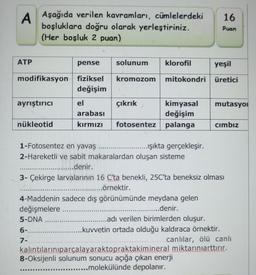 A
ATP
pense
modifikasyon fiziksel
değişim
ayrıştırıcı
Aşağıda verilen kavramları, cümlelerdeki
boşluklara doğru olarak yerleştiriniz.
(Her boşluk 2 puan)
nükleotid
K
www.
7-
1-Fotosentez en yavaş
2-Hareketli ve sabit makaralardan oluşan sisteme
.....denir.
www.
------
el
arabası
kırmızı
www
solunum
.
*****
yeşil
kromozom mitokondri üretici
çıkrık
3- Çekirge larvalarının 16 C'ta benekli, 25C'ta beneksiz olması
örnektir.
4-Maddenin sadece dış görünümünde meydana gelen
değişmelere
.....denir.
5-DNA
......adı verilen birimlerden oluşur.
klorofil
kimyasal mutasyo
değişim
fotosentez palanga
---------..
ışıkta gerçekleşir.
16
Puan
.kuvvetin ortada olduğu kaldıraca örnektir.
canlılar, ölü canlı
kalıntılarınıparçalayaraktopraktakimineral miktarınıarttırır.
8-Oksijenli solunum sonucu açığa çıkan enerji
....molekülünde depolanır.
----VETSUELEKE
Cımbız