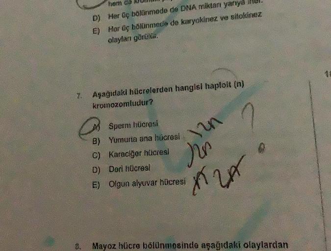 D)
E)
*
7. Aşağıdaki hücrelerden hangisi haploit (n)
kromozomludur?
hem da
Her üç bölünmede de DNA miktarı
yarıya
Hor üç bölünmede de karyokinez ve sitokinez
olaylanı görülür.
B)
Sperm hücresi
Yumuria ana hücresi
Karaciğer hücresi
12n
nin
AZA
C)
D)
Deri hü