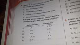 6. Aşağıda O, ve CO,'nin taşınması sırasında gerçull
bazı olaylarla ilgili bilgiler verilmiştir.
1.
HbCO₂ konsantrasyonu artar.
II. HbO₂ konsantrasyonu artar.
III. Karbonik anhidraz etkisiyle karbonik asit oluşur.
IV. Hemoglobin hidrojenden ayrılır.
Buna göre belirtilen olaylardan hangileri akciğer kıl-
callarında, hangileri doku kılcallarında gerçekleşir?
A)
B)
C)
D)
E)
Akciğer kılcalları
I, III
II, III
II, IV
I, III, IV
III, IV
Doku kılcalları
II, III, IV
II, IV
I, III
II, IV
|, ||
A) Rall
B) Vücut sıcaklığın
C) Kandaki asetil
D) Atmosferdeki
E) Kandaki adr
9. Sağlıklı bir is
artmakta ola
yonlardan h
A) HbO₂
B) CO₂ +
C) Hb+
D) HbH