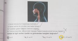s kat
19.
1. Soluk borusunun başlangıç kısmıdır.
II. Soluk verme ile içindeki ses telleri titreşir.V
III. Yutaktan gelen havanın iletimini sağlar.
IV. Yutma sırasında, yapısındaki kapağın kapanmasıyla soluk borusu kapanır.
Gırtlak ile ilgili verilen özellik ve görevlerden hangileri doğrudur?
Al ve Il
B) III ve IV
SH, III ve IV
DI, II, III ve IV