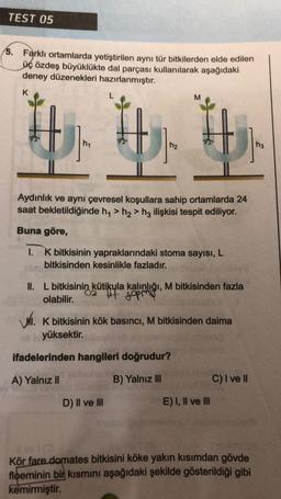 TEST 05
5. Farklı ortamlarda yetiştirilen aynı tür bitkilerden elde edilen
üç özdeş büyüklükte dal parçası kullanılarak aşağıdaki
deney düzenekleri hazırlanmıştır.
K
52
h₁
$
h2
M
Aydınlık ve aynı çevresel koşullara sahip ortamlarda 24
saat bekletildiğinde h₁ > h₂> h3 ilişkisi tespit ediliyor.
Buna göre,
1. K bitkisinin yapraklarındaki stoma sayısı, L
bitkisinden kesinlikle fazladır.
D) II ve III
II. L bitkisinin kütikula kalınlığı, M bitkisinden fazla
02 fet gopms
olabilir.
M. K bitkisinin kök basıncı, M bitkisinden daima
oll be yüksektir.
ifadelerinden hangileri doğrudur?
A) Yalnız II
B) Yalnız III
E) I, II ve III
C) I ve II
Kör fare domates bitkisini köke yakın kısımdan gövde
floeminin bir kısmını aşağıdaki şekilde gösterildiği gibi
kemirmiştir.
h3