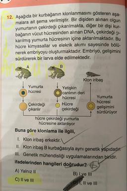 12. Aşağıda bir kurbağanın klonlanmasını gösteren aşa-
malara ait şema verilmiştir. Bir dişiden alınan olgun
yumurtanın çekirdeği çıkarılmakta, diğer bir dişi kur-
bağanın vücut hücresinden alınan DNA, çekirdeği çı-
karılmış yumurta hücresinin içine aktarılmaktadır. Bu
hücre kimyasallar ve elekrik akımı sayesinde bölü-
nerek embriyoyu oluşturmaktadır. Embriyo, gelişimini
sürdürerek bir larva elde edilmektedir.
A
B
Yumurta
hücresi
Çekirdeğin
çıkarılır
Yetişkin
canlının deri
hücresi
Hücre
çekirdeği
Klon iribaş
hücre çekirdeği yumurta
hücresine aktarılıyor
Buna göre klonlama ile ilgili,
Yumurta
hücresi
gelişimini
sürdürüyor
1. Klon iribaş erkektir.
II. Klon iribaş B kurbağasıyla aynı genetik yapıdadır.
III. Genetik mühendisliği uygulamalarından biridir.
ifadelerinden hangileri doğrudur?
A) Yalnız II
B) I ve III
C) II ve III
D) I, II ve III
