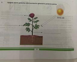 2.
Aşağıda oklarla gösterilen bitki kısımlarının görevlerini yanlarına yazınız.
3
Od inv
-10tanta riis lim
64
Toprak
EXIDO
Güneş ışığı
ADO
Pabrany
aligimibe osilod
Aba
blabi
milibe
Infan0G VA (A
gagorowodern of GLO NA e