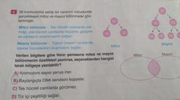 4 36 kromozoma sahip bir canlının vücudunda
gerçekleşen mitoz ve mayoz bölünmeler gös-
terilmiştir.
Mitoz bölünme: Tek hücreli canlılarda üre-
meyi, çok hücreli canlılarda büyüme, gelişme
ve yaraların onarılmasını sağlar.
Mayoz bölünme: Eşeyli üreyen canlılarda
üreme hücrelerinin oluşmasını sağlar.
36
A) Kromozom sayısı yarıya iner.
B) Başlangıçta DNA kendisini kopyalar.
C) Tek hücreli canlılarda görülmez.
D) Tür içi çeşitliliği sağlar.
36
Mitoz
Verilen bilgilere göre Venn şemasına mitoz ve mayoz
bölünmenin özellikleri yazılırsa, seçeneklerden hangisi
taralı bölgeye yazılabilir?
36
Mitoz
18
18
36
18
18
18
Mayoz
Mayoz