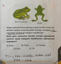 03
5.
Sınıfı: İki yaşamlılar
Mogan gölünde fauna çalışması yapan bir bilim insanı sis-
tematik çalışma sırasında gölde bulduğu kurbağanın iki
yaşamlılar sınıfına ait olduğunu kaydetmiştir.
Buna göre çalışmanın bundan sonraki aşamasında
canlının hangi kategorik özelliklerinin belirlenmesi
hedeflenir?
A) Şube
D) Cins
-
20 mm
B) Takım
E) Tür
C) Familya
Tir cins-familya-takim-sinf
Şube - alem