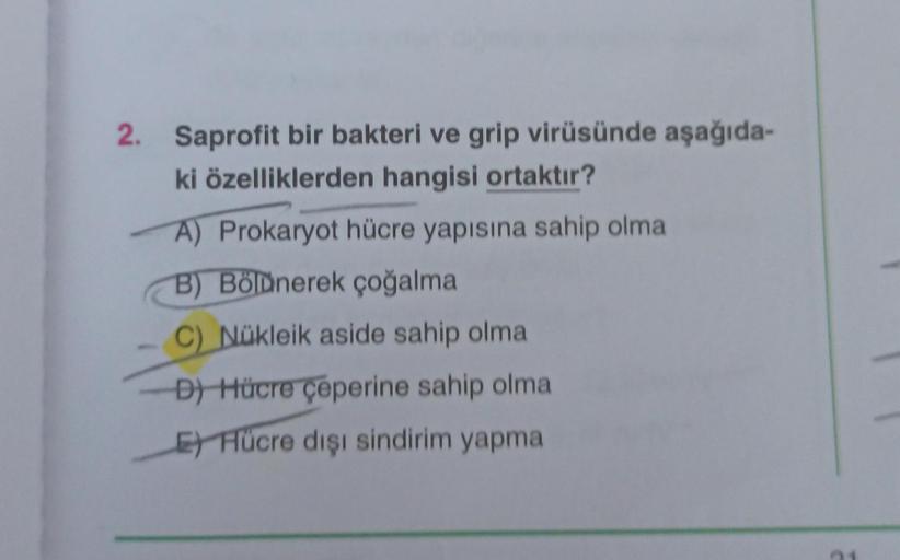 2. Saprofit bir bakteri ve grip virüsünde aşağıda-
ki özelliklerden hangisi ortaktır?
A) Prokaryot hücre yapısına sahip olma
B) Bölünerek çoğalma
C) Nükleik aside sahip olma
-D) Hücre çeperine sahip olma
E) Hücre dışı sindirim yapma