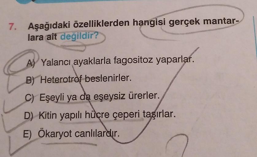 7. Aşağıdaki özelliklerden hangisi gerçek mantar-
lara ait değildir?
A) Yalancı ayaklarla fagositoz yaparlar.
B) Heterotrof beslenirler.
C) Eşeyli ya da eşeysiz ürerler.
D) Kitin yapılı hücre çeperi taşırlar.
E) Ökaryot canlılardır.