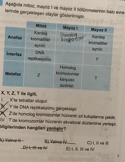 Aşağıda mitoz, mayoz I ve mayoz II bölünmelerinin bazı evre-
lerinde gerçekleşen olaylar gösterilmiştir.
Anafaz
İnterfaz
Metafaz
Mitoz
Kardeş
kromatitler
ayrılır.
DNA
replikasyonu
Z
X, Y, Z, T ile ilgili,
I. X'te tetratlar oluşur.
A) Yalnız II
Mayoz I
Homolog
krogodont
Homolog
kromozomlar
Y'de DNA replikasyonu gerçekleşir.
_D) I, II ve IV
karşılıklı
dizilirler.
OZ'de homolog kromozomlar hücrenin zıt kutuplarına çekilir.
IV. T'de kromozomlar hücrenin ekvatoral düzlemine yerleşir.
bilgilerinden hangileri yanlıştır?
B) Yalnız IV
MILN
Iyee3
Mayoz II
Kardeş
kromatitler
ayrılır.
C) I, II ve III
E) I, II, III ve IV