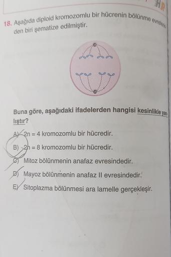 HR
18. Aşağıda diploid kromozomlu bir hücrenin bölünme evrelerin
den biri şematize edilmiştir.
Buna göre, aşağıdaki ifadelerden hangisi kesinlikle yan
lıştır?
A 2n = 4 kromozomlu bir hücredir.
B) >2h = 8 kromozomlu bir hücredir.
Mitoz bölünmenin anafaz evr