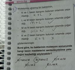 BİYOLOJİ
Mutasyona uğramış bir bakterinin,
K ve L besin karışımı bulunan ortamda yaşa-
K+L
madığı,
X
e
●
●
L ve M besin karışımı bulunan ortamda çoğal-
dığı,
M+L
M ve N besin karışımı bulunan ortamda çoğal-
dığı,
M+N
K ve Z besin karışımı bulunan ortamda yaşa-
madığı
K+Z
X
gözlemlenmiştir.
Buna göre, bu bakterinin mutasyon sonucunda
hangi besin maddelerini sentezleyebilme yete-
neğini kaybettiği söylenebilir?
A) Yalnız M
D) L ve Z
B) Yalnız Z
C) K ve M
E) L ve K