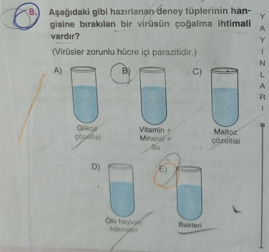 8.
Aşağıdaki gibi hazırlanan deney tüplerinin han- Y
gisine bırakılan bir virüsün çoğalma ihtimali
vardır?
A
Y
(Virüsler zorunlu hücre içi parazitidir.)
1
A)
Glikoz
çözeltisi
D)
Vitamin +
Mineral +
Su
Ölü hayvan
hücreleri
E)
C)
Bakteri
C
Maltoz
çözeltisi