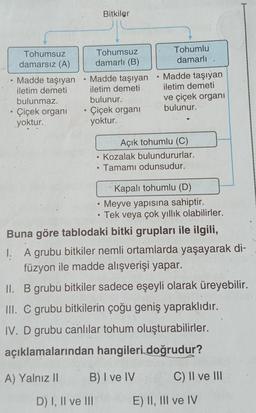 ●
Tohumsuz
damarsız (A)
Madde taşıyan
iletim demeti
bulunmaz.
• Çiçek organi
yoktur.
e
A) Yalnız II
●
Tohumsuz
damarlı (B)
Madde taşıyan
iletim demeti
bulunur.
Çiçek organi
yoktur.
。
D) I, II ve III
Bitkiler
0
●
6
●
Kapalı tohumlu (D)
Meyve yapısına sahiptir.
Tek veya çok yıllık olabilirler.
Buna göre tablodaki bitki grupları ile ilgili,
I. A grubu bitkiler nemli ortamlarda yaşayarak di-
füzyon ile madde alışverişi yapar.
II. B grubu bitkiler sadece eşeyli olarak üreyebilir.
III. C grubu bitkilerin çoğu geniş yapraklıdır.
IV. D grubu canlılar tohum oluşturabilirler.
açıklamalarından hangileri doğrudur?
B) I ve IV
Tohumlu
damarlı
Madde taşıyan
iletim demeti
ve çiçek organi
bulunur.
Açık tohumlu (C)
Kozalak bulundururlar.
Tamamı odunsudur.
C) II ve III
E) II, III ve IV