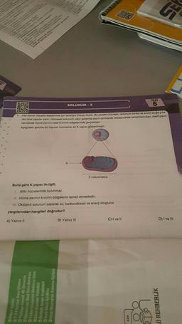 www
C
papie
ye
Gen
N
www
wa Kituo vorgen
SES
16
wan
lah, aglama, gen sktarm, klonism
omekleri üzerinde durulur
unt
27-24 Online Soru Çözüm
Turkiye Geneli 40 Deneme
DOğrenciye Özel Soru Bankası
Video Cozumlü Binlerce Soru
Hibrit Egitim
Ders Anlatim Videolan
Detaylı Simav Analizleri
Buna göre K yapısı ile ilgili,
1. Bitki hücrelerinde bulunmaz.
SAA
SOLUNUM -2
Yeni Nesil İçerikler
Hızlı Okuma ve Anlama Eğitimi
1. Her hücre, hayatta kalabilmek için enerjiye ihtiyaç duyar. Bu yüzden hücreler, solunum süreci ile enerji açığa çıka
ran özel yapılar içerir. Hücresel solunum olayı gelişmiş yapılı canlılarda mitokondride tamamlanırken, basit yapılı
canlılarda hücre zarının özel kıvrımlı bölgelerinde gerçekleşir.
Aşağıdaki şekilde bir hayvan hücresine ait K yapısı gösterilmiştir.
OMAIN
K
II. Hücre zarının kıvrımlı bölgelerini temsil etmektedir.
III. Oksijenli solunum yaparak su, karbondioksit ve enerji oluşturur.
yargılarından hangileri doğrudur?
A) Yalnız II
B) Yalnız III
3 mikrometre
200
TEST
C) I ve II
Ü REHBERLİK
SE
D) I ve Ill