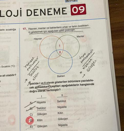 LOJİ DENEME 09
bhid
erin sıcaklığa
d
xublurox
- Sıcaklık (°C)
e ait olabilir?
r
T
as seenid nolo ring
b min
beb
Ill sinisy
tineblos
17. Hayvan, mantar ve bakterilerin ortak ve farklı özellikleri-
ni göstermek için aşağıdaki şekil çizilmiştir.
HUGGITRY CAN
