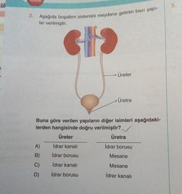 cül
3. Aşağıda boşaltım sistemini meydana getiren bazı yapı-
lar verilmiştir.
GHO
A)
B)
C)
D)
Üreter
Buna göre verilen yapıların diğer isimleri aşağıdaki-
lerden hangisinde doğru verilmiştir?
Üreter
İdrar kanalı
İdrar borusu
İdrar kanalı
İdrar borusu
Üretra
Üretra
İdrar borusu
Mesane
Mesane
İdrar kanalı