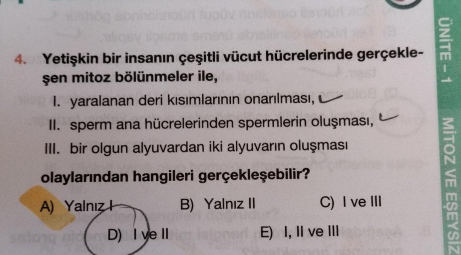 4. Yetişkin bir insanın çeşitli vücut hücrelerinde gerçekle-
şen mitoz bölünmeler ile,
I. yaralanan deri kısımlarının onarılması,
II. sperm ana hücrelerinden spermlerin oluşması,
III. bir olgun alyuvardan iki alyuvarın oluşması
olaylarından hangileri gerçe