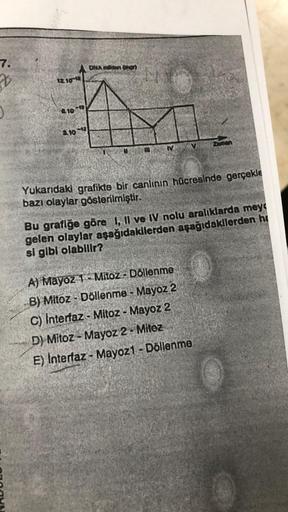 7
12.10
4.10
2.10
ONA
Yukarıdaki grafikte bir canlının hücresinde gerçekle
bazı olaylar gösterilmiştir.
Bu grafiğe göre I, II ve IV nolu aralıklarda mey
gelen olaylar aşağıdakilerden aşağıdakilerden hi
si gibi olabilir?
A) Mayoz 1- Mitoz - Döllenme
B) Mito