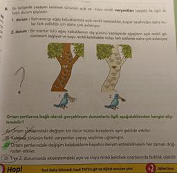 nne
isp
tan
ef
--- tonguç
6. Bir bölgede yaşayan kelebek türünün açık ve koyu renkli varyantları (çeşidi) ile ilgili iki
farklı durum şöyledir:
1. durum : Kahverengi ağaç kabuklarında açık renkli kelebekler, kuşlar tarafından daha ko-
lay fark edildiği için daha çok avlanıyor.
2. durum: Bir mantar türü ağaç kabuklarının dış yüzünü kaplayarak ağaçların açık renkli gö-
rünmesini sağlıyor ve koyu renkli kelebekler kolay fark edilerek daha çok avlanıyor.
2
Ortam şartlarına bağlı olarak gerçekleşen durumlarla ilgili aşağıdakilerden hangisi söy-
lenebilir?
ALOrtam şartlarındaki değişim bir türün bütün bireylerini aynı şekilde etkiler.
B) Kelebek türünün farklı varyantları yapay seçilime uğramıştır.
Ortam şartlarındaki değişim kelebeklerin hayatını devam ettirebilmesini her zaman doğ-
rudan etkiler.
(D) 1 ye 2. durumlarda ekosistemdeki açık ve koyu renkli kelebek oranlarında farklılık olabilir.
Hop!
Test daha bitmedi, hadi TATS'a git ve dijital soruları çöz!
Dijital Soru