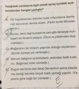 Aşağıdaki cümlelerle ilgili olarak ayraç içindeki açık-
lamalardan hangisi yanlıştır?
A) Dik kayalıklardan dökülen sular milyonlarca damla-
cığı savurarak denize düşer. (Farklı türde fiilimsiler
Nardır.)
B) Burası, deniz taşlı kumsalı ve cam gibi deniziyle muh-
teşem bir Akdeniz plajıydı. (Özne ve yüklemden oluş-
maktadır.)
C) Mağaranın bir milyon yaşında olduğu söyleniyor.
(Sözde özneye yer verilmiştir.)
D) Mercan balığının içi temizlenir, ardından balık tuzla-
nır. (Bağımsız sıralı cümledir.)
E Bugün adı füme olan fakat Osmanlının adına tütsüle-
me dediği teknikle birçok balık yemeği yapıldı. (Ya-
pısına göre bağlı bir cümledir.)
E