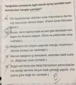 Aşağıdaki cümlelerle ilgili olarak ayraç içindeki açık-
lamalardan hangisi yanlıştır?
A) Dik kayalıklardan dökülen sular milyonlarca damla-
cığı savurarak denize düşer. (Farklı türde fiilimsiler
Nardır.)
B) Burası, deniz taşlı kumsalı ve cam gibi deniziyle muh-
teşem bir Akdeniz plajıydı. (Özne ve yüklemden oluş-
maktadır.)
C) Mağaranın bir milyon yaşında olduğu söyleniyor.
(Sözde özneye yer verilmiştir.)
D) Mercan balığının içi temizlenir, ardından balık tuzla-
nır. (Bağımsız sıralı cümledir.)
E Bugün adı füme olan fakat Osmanlının adına tütsüle-
me dediği teknikle birçok balık yemeği yapıldı. (Ya-
pısına göre bağlı bir cümledir.)
E