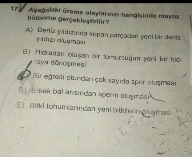 17.
Aşağıdaki üreme olaylarının hangisinde mayoz
bölünme gerçekleştirilir?
A) Deniz yıldızında kopan parçadan yeni bir deniz
yıldızı oluşması
B) Hidradan oluşan bir tomurcuğun yeni bir hid-
raya dönüşmesi
Bir eğrelti otundan çok sayıda spor oluşması
D) Erk