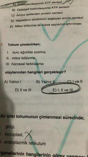 7.
A) Fotofosforilasyonla ATP sentezi
B) Oksidatif fosforilasyonla ATP sentezi
C) Amino asitlerden protein sentezi
D) Nişastanın sindirimini sağlayan enzim sentezi
E) Mitoz bölünme ile hücre sayısının artırılması
Tohum
çimlenirken;
1. kuru ağırlıkta azalma