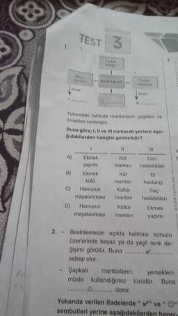 A)
B)
C)
TEST 3
TE
Mara
amek
D)
Yukarıdaki tabloda mantarların çeşitleri ve
örnekleri verilmiştir.
Rapkali
Mantar
Buna göre; I, II ve lil numaralı yerlere aşa-
ğıdakilerden hangisi gelmelidir?
MANTARLAR
1
Ekmek
yapımı
Ekmek
küfü
Hamurun
mayalanması
*******
11
KOF
mantarı
Parazit
mantadar
Küf
mantarı
Kültür
mantarı
Hamurun
Kültür
mayalanması mantarı
ömek
H..
Deri
hastalıkları
hastalığı
Saç
hastalıkları
Ekmek
yapımı
AYDIN YAYINLARI
2. - Besinlerimizin açıkta kalması sonucu
üzerlerinde beyaz ya da yeşil renk de-
ğişimi görülür. Buna ...............
sebep olur.
Şapkalı mantarların, yemekleri-
mizde kullandığımız türüdür. Buna
......................... denir.
Yukarıda verilen ifadelerde "✔" ve ""
sembolleri yerine aşağıdakilerden hangis