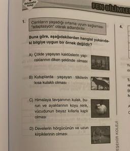 Bahçeşehir
Koleji
1.
Canlıların yaşadığı ortama uyum sağlaması
"adaptasyon" olarak adlandırılır.
Buna göre, aşağıdakilerdan hangisi yukarıda-
ki bilgiye uygun bir örnek değildir?
A) Çölde yaşayan kaktüslerin yap-
raklarının diken şeklinde olması
B) Kutuplarda yaşayan tilkilerin
kısa kulaklı olması
FEN BİLİMLER
C) Himalaya tavşanının kulak, bu-
run ve ayaklarının koyu renk,
vücudunun beyaz kıllarla kaplı
olması
D) Develerin hörgücünün ve uzun
kirpiklerinin olması
EŞEHİR KOLEJÍ
4.
Yu
rir
Ta
IS
(c
h: