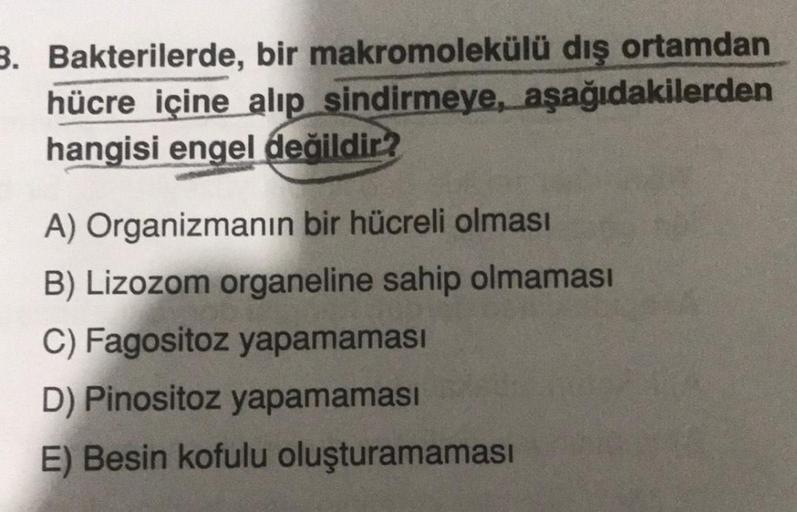 3. Bakterilerde, bir makromolekülü dış ortamdan
hücre içine alıp sindirmeye, aşağıdakilerden
hangisi engel değildir?
A) Organizmanın bir hücreli olması
B) Lizozom organeline sahip olmaması
C) Fagositoz yapamaması
D) Pinositoz yapamaması
E) Besin kofulu olu