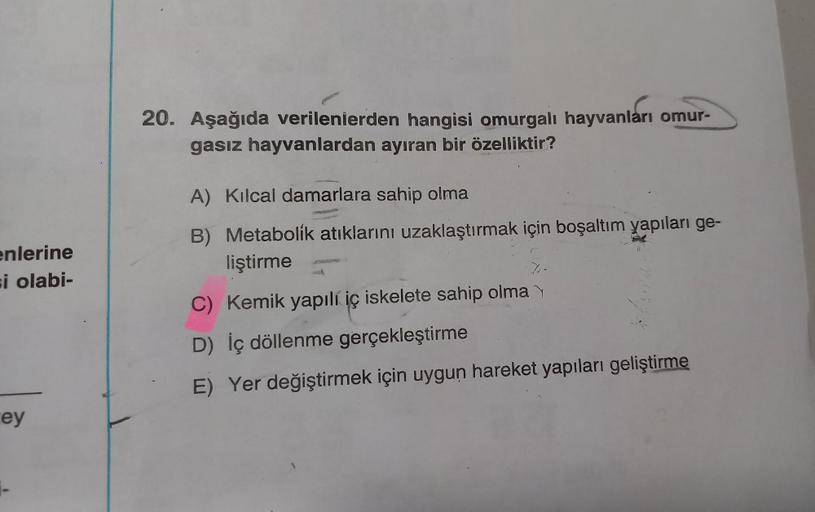 enlerine
si olabi-
ey
20. Aşağıda verilenlerden hangisi omurgalı hayvanları omur-
gasız hayvanlardan ayıran bir özelliktir?
A) Kılcal damarlara sahip olma
B) Metabolik atıklarını uzaklaştırmak için boşaltım yapıları ge-
liştirme
C) Kemik yapılı iç iskelete