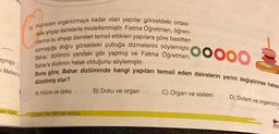 eçmiştir.
Melikehi
nleri Kafas
15. Hücreden organizmaya kadar olan yapılar görseldeki ortası
delik ahşap dairelerle modellenmiştir. Fatma Öğretmen, öğren-
cilerine bu ahşap daireleri temsil ettikleri yapılara göre basitten
karmaşığa doğru
görseldeki çubuğa dizmelerini
söylemiştir.OOOOO
Bahar, dizilimini yandaki gibi yapmış ve Fatma Öğretmen,
Bahar'a dizilimin hatalı olduğunu söylemiştir.
Buna göre, Bahar diziliminde hangi yapıları temsil eden dairelerin yerini değiştirirse hatas
düzeltmiş olur?
A) Hücre ve doku
7. Sinif Fen Bilimleri Kafası
B) Doku ve organ
C) Organ ve sistem
D) Sistem ve organizma
Kal